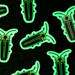 Glow in the dark sticker of an insect