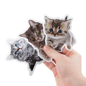 3 Pet Cat Feline Vinyl Stickers Pet Cat Stickers image